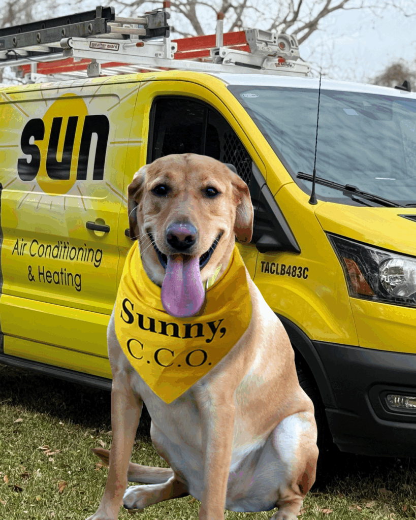 Sunny with Truck